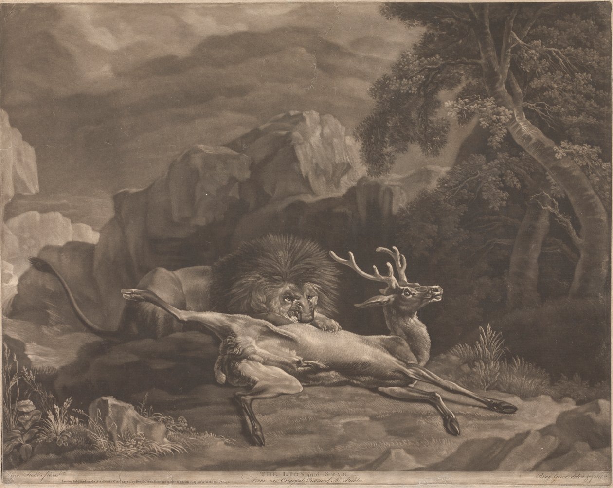 Aslan ve Geyik by Benjamin Green