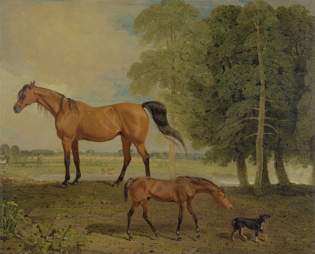Tay ve Teriyerli Broodmare (tuval üzerine yağlı boya) by Benjamin Marshall