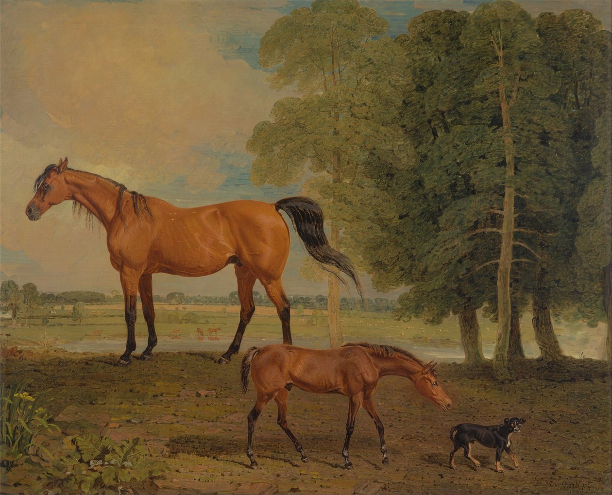 Tay ve Teriyer ile Broodmare by Benjamin Marshall