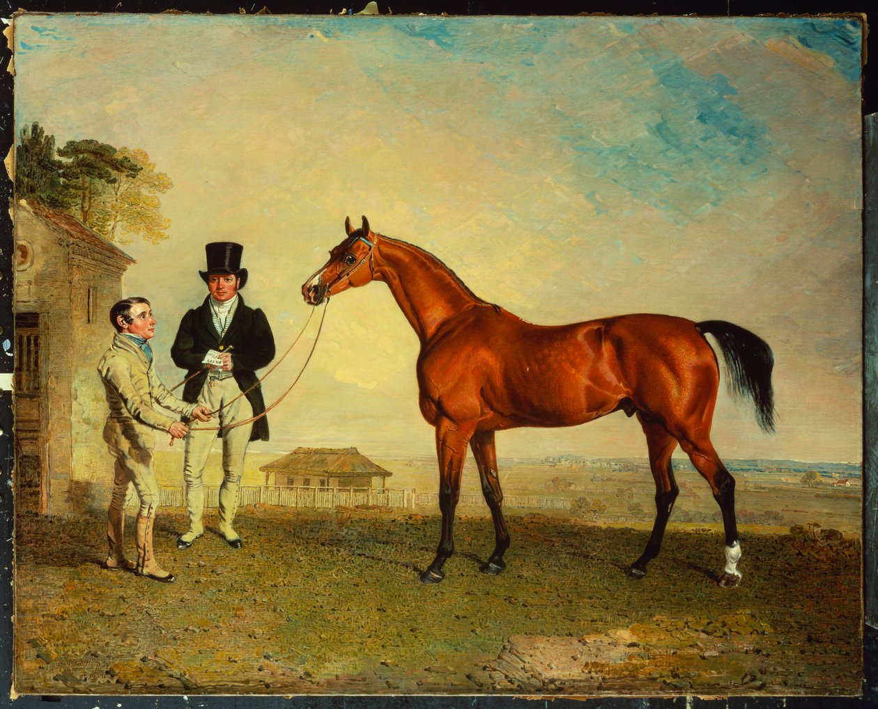 "Skiff", bir Damat tarafından Newmarket Heath