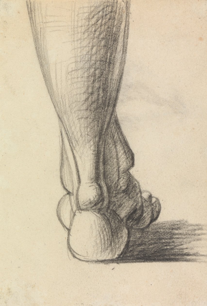 Ayak Topuğunun Anatomik Çalışması by Benjamin Robert Haydon