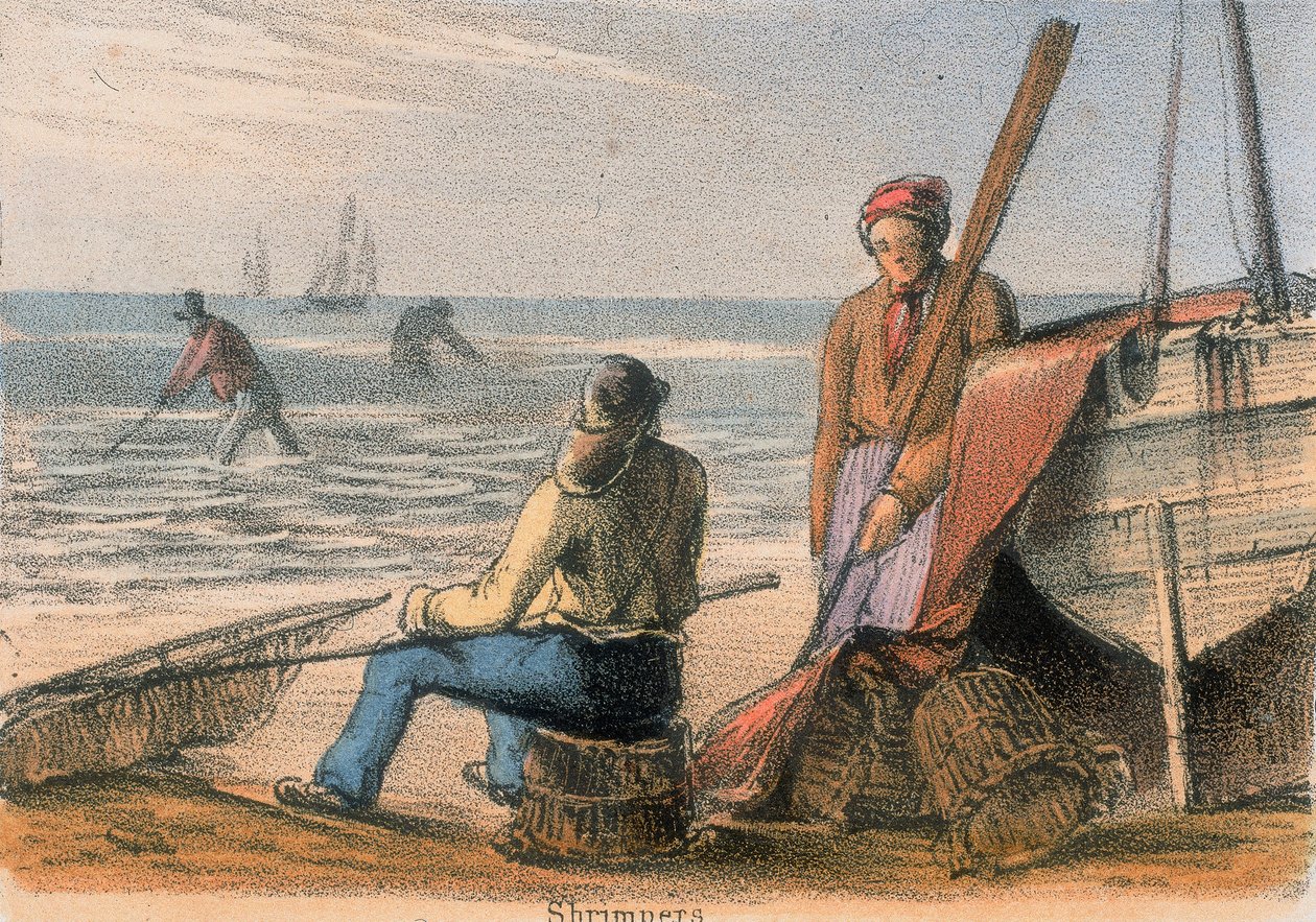 Karidesler, c1845 by Benjamin Waterhouse Hawkins