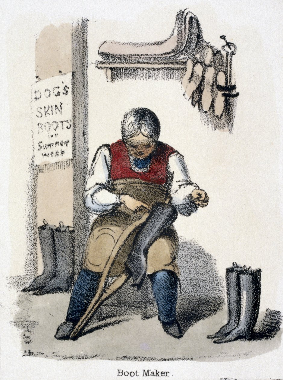Çizme Yapıcı, Hayvanların Grafik Resimlerinde Köpekten - Yaşam Boyunca İstihdamında ve Ölümden Sonra Kullanımlarında İnsana Faydalarını Gösteriyor, c.1845 by Benjamin Waterhouse Hawkins
