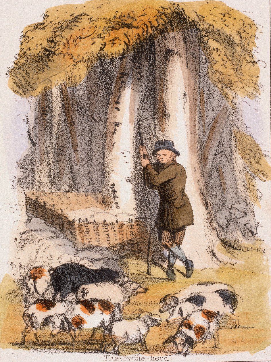 Domuz Sürüsü, c1845 by Benjamin Waterhouse Hawkins