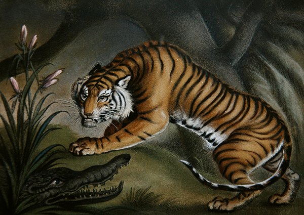 Kaplan ve Timsah, c.1810 (gemideki kum resmi) by Benjamin Zobel