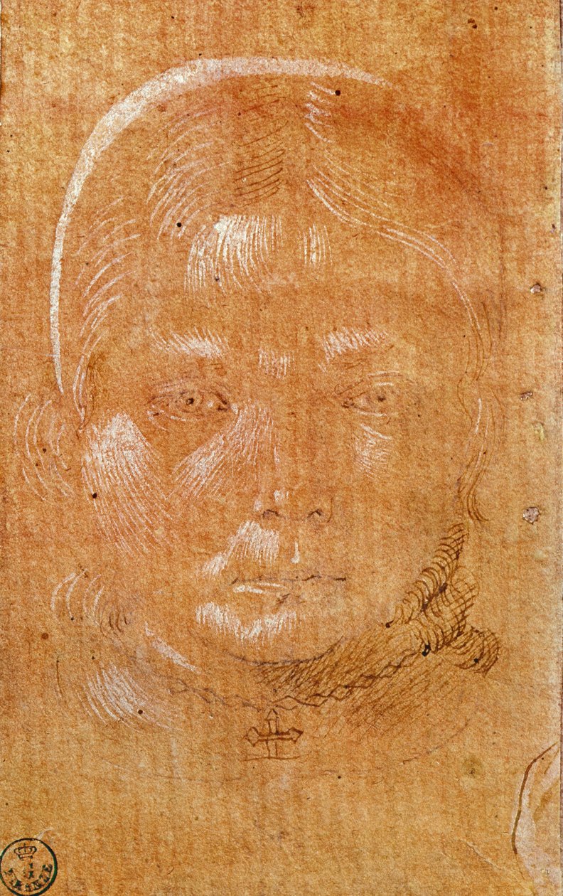 Genç bir kızın başı (kağıt üzerine tebeşir ve mürekkep) by Benozzo di Lese di Sandro Gozzoli