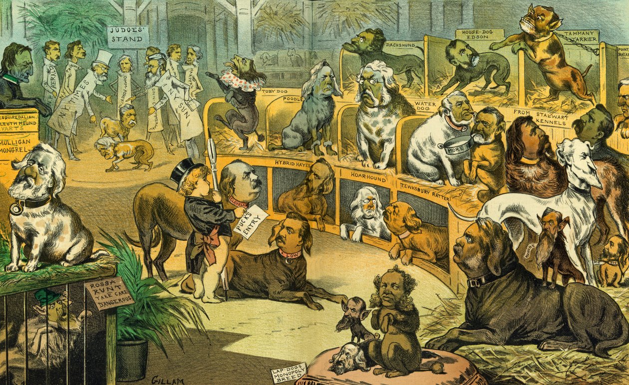 Ulusal köpek şovumuz, 1883 by Bernard Gillam