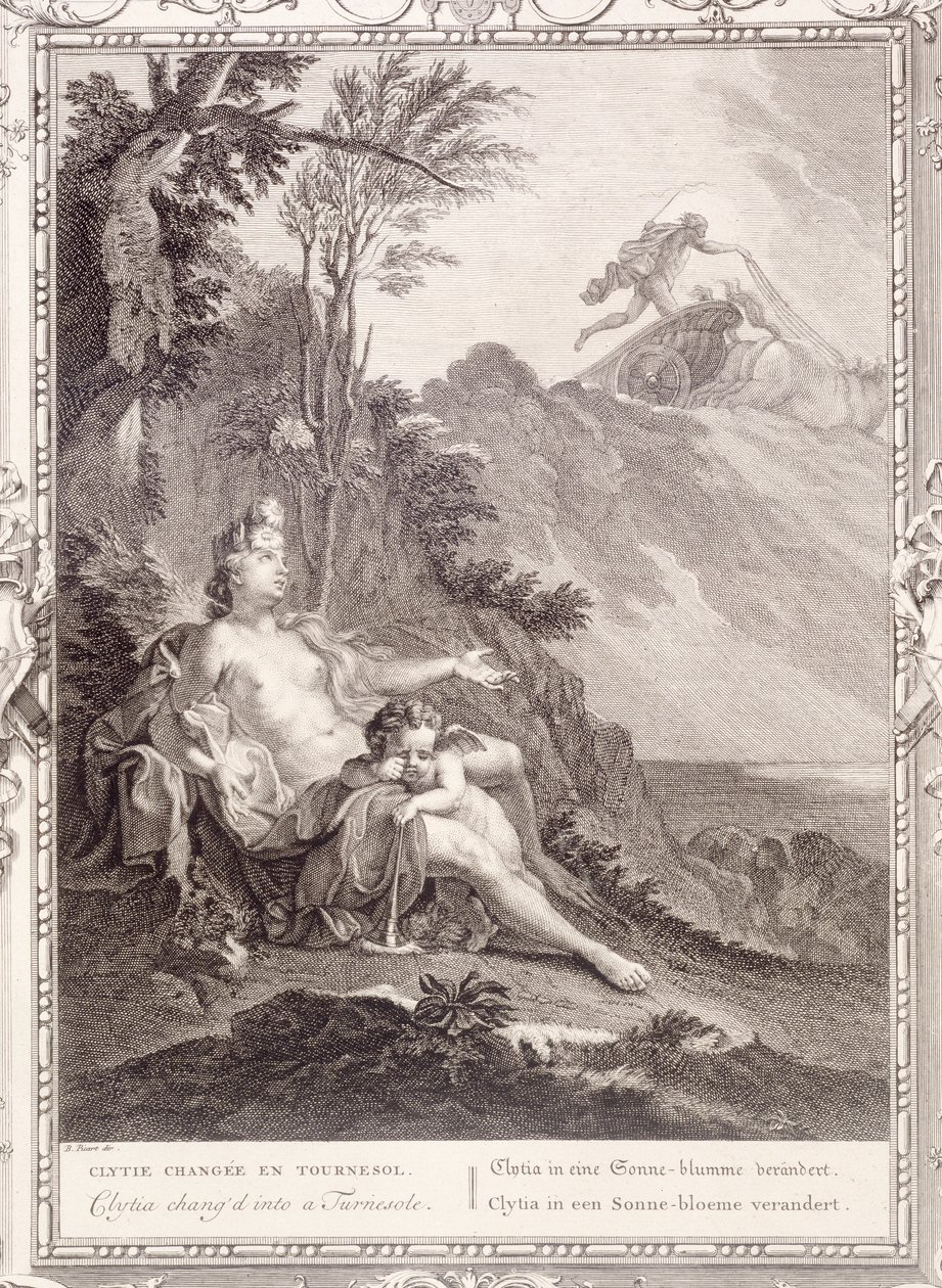 Clytia Turnesole Dönüştürüldü, 1731 by Bernard Picart