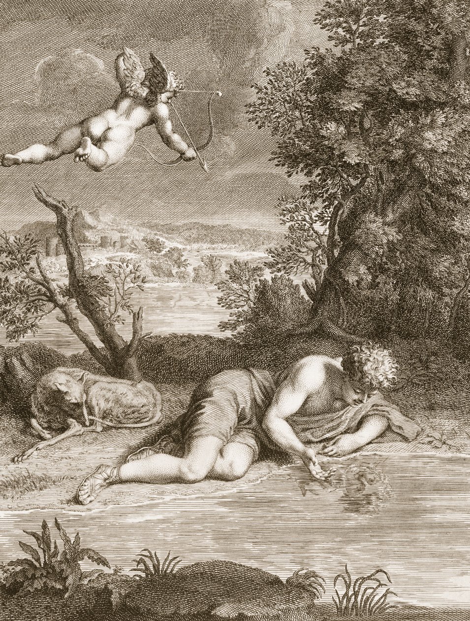 Çiçeğe Dönüşen Nergis, 1730 by Bernard Picart