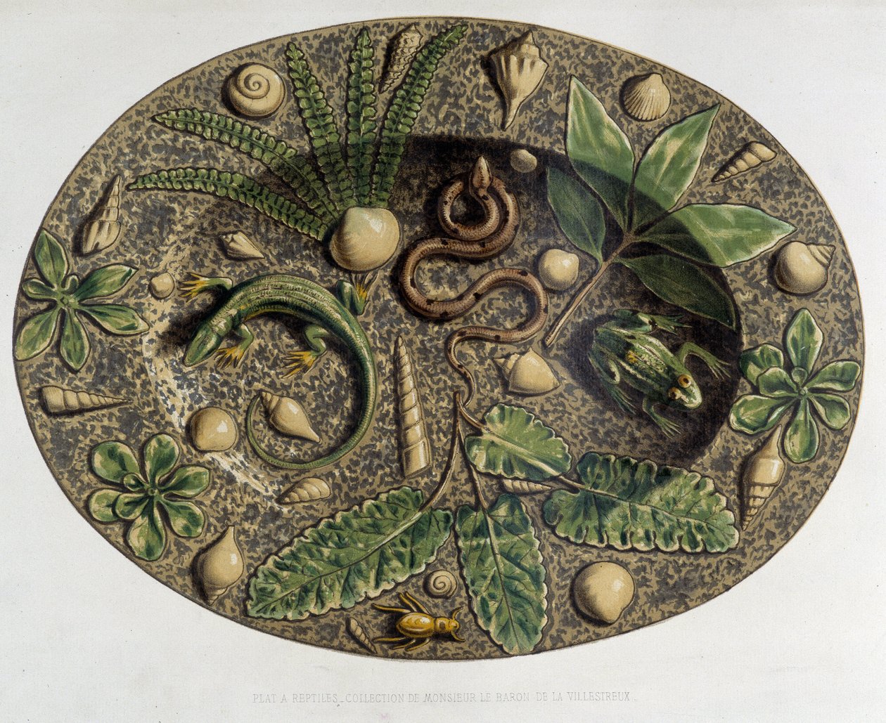 Plate à sürüngenler - Plate céramique, C. Delange ve C. Borneman, Paris tarafından “” Bernard Palissy