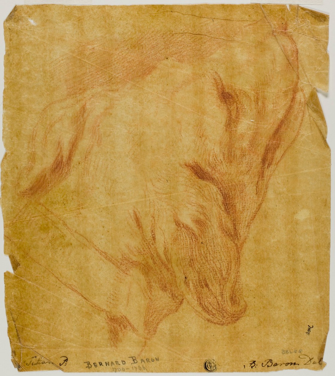Köpek Başkanı by Bernard Baron