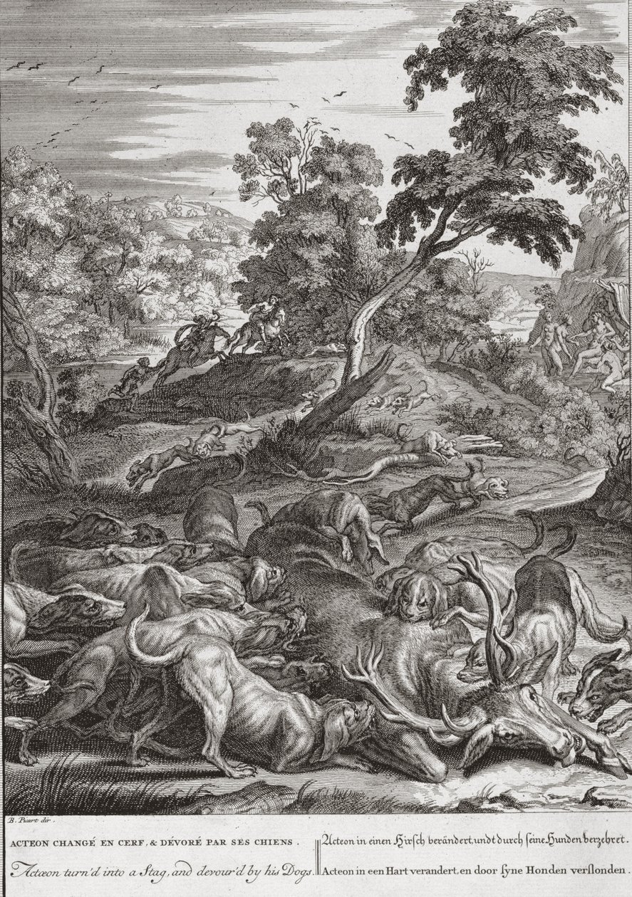 Acteon bir Geyik'e dönüştü ve köpekleri tarafından yutuldu, 1731 by Bernard Picart