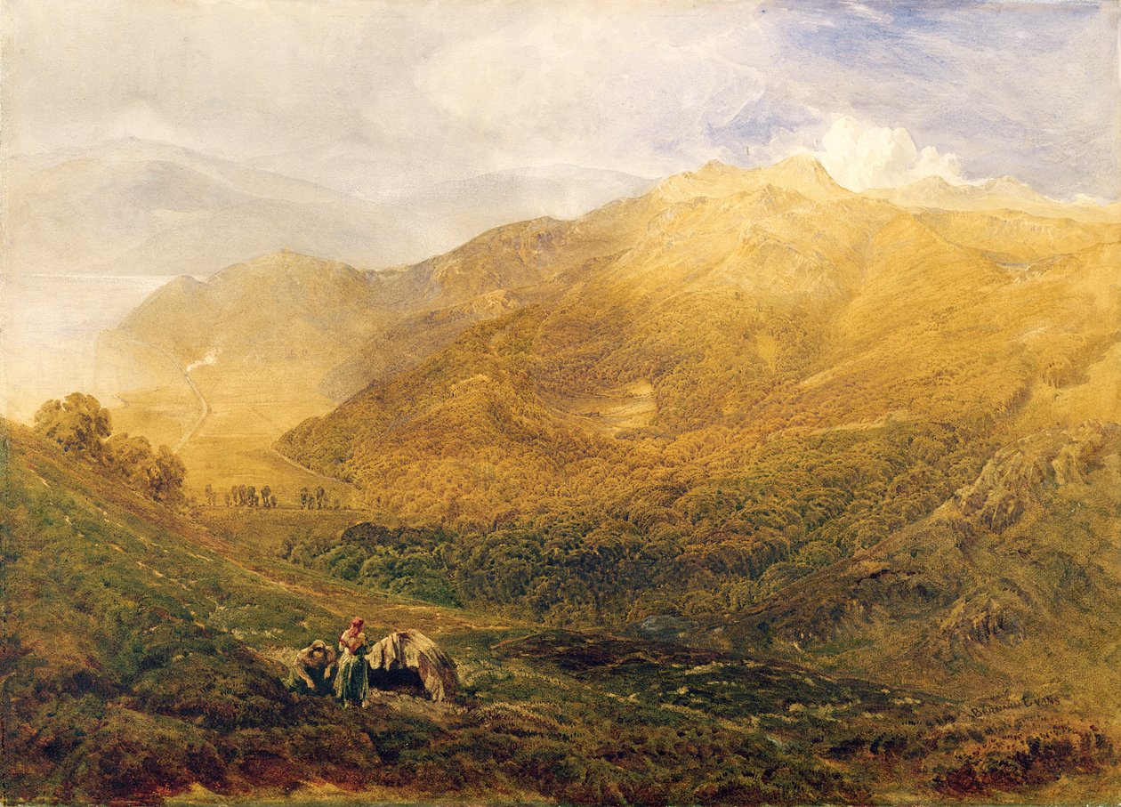 Arthog, Barmouth yakınlarında (tuval üzerine yağlı boya) by Bernard Walter Evans