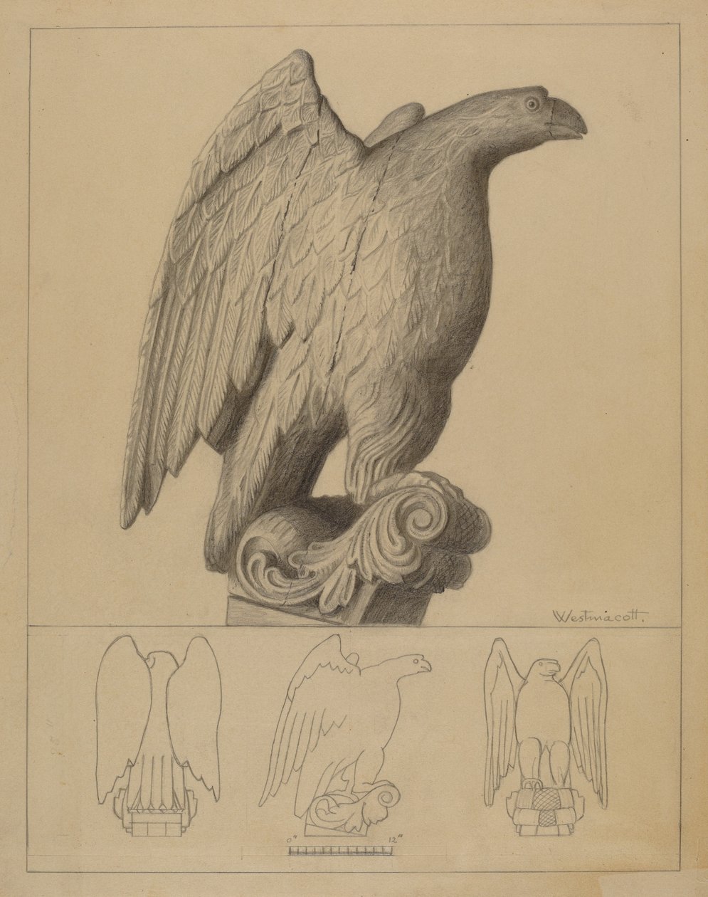 Kartal by Bernard Westmacott