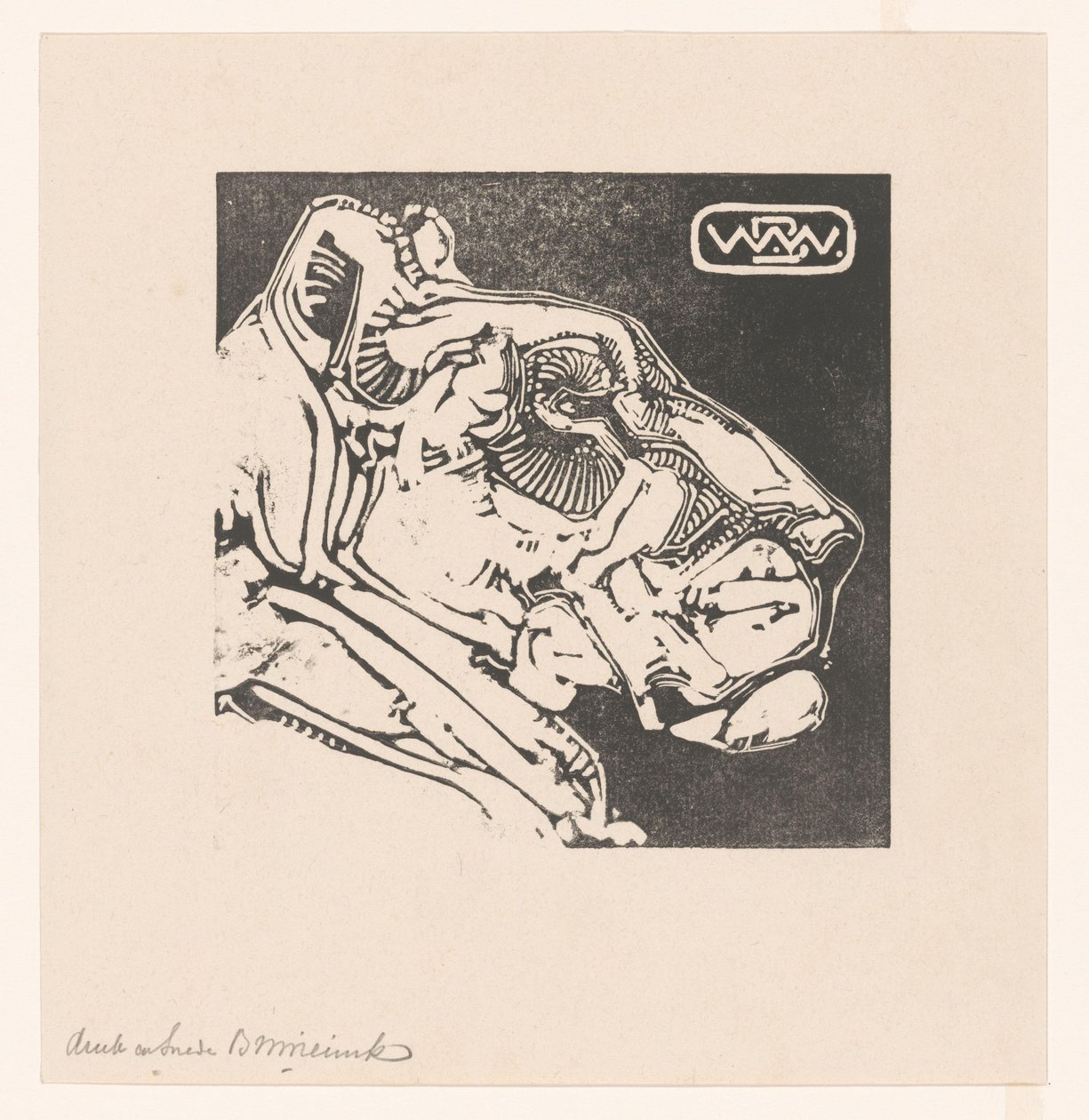 Bir dişi aslan başkanı Lioness (orijinal başlık) by Bernard Willem Wierink (signed by artist)
