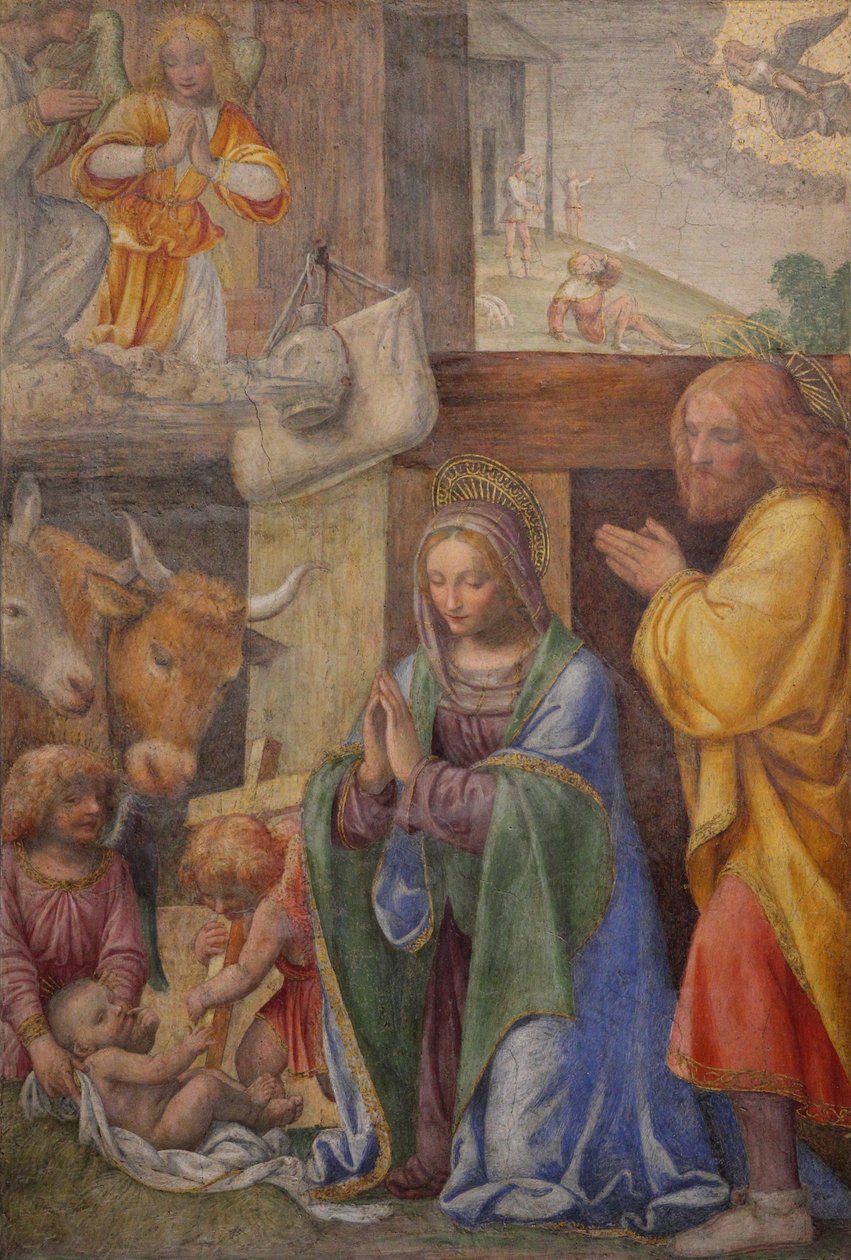 Çobanlara Doğuş ve Müjde by Bernardino Luini