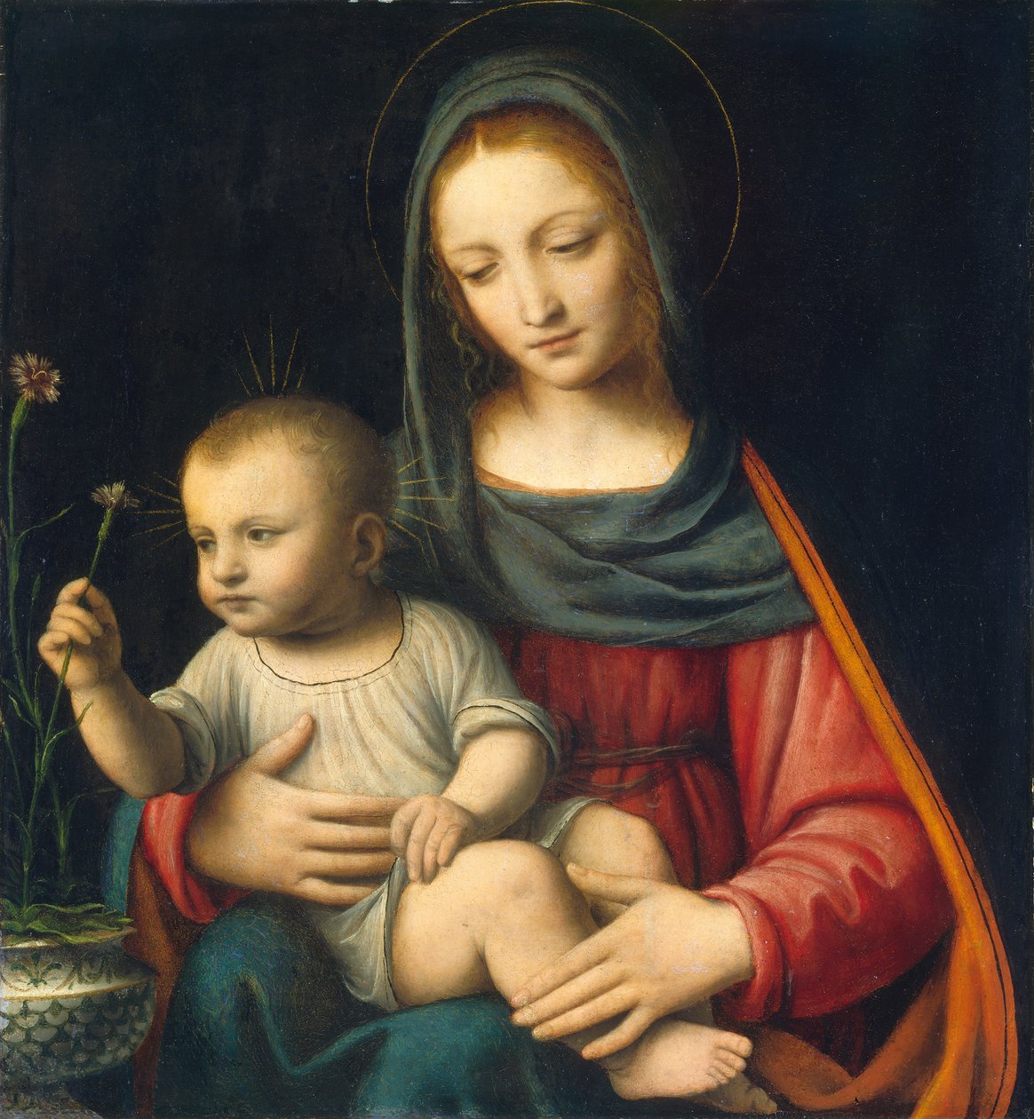 Karanfil Madonna, c.1515 by Bernardino Luini