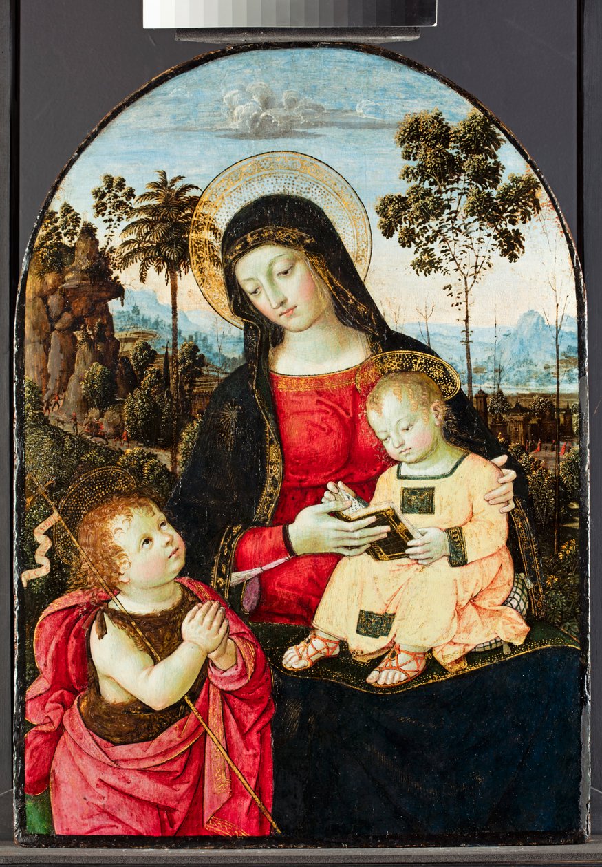 Vaftizci Yahya ile Bakire ve Çocuk, 1490-95 (panelde yağ ve sır ve altın ile tempera) by Bernardino di Betto Pinturicchio