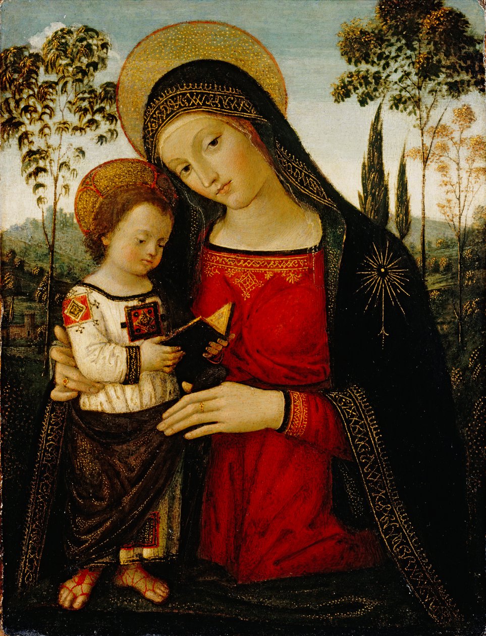 Madonna ve Çocuk, c.1490-1495 (panelde öfke) by Bernardino di Betto Pinturicchio