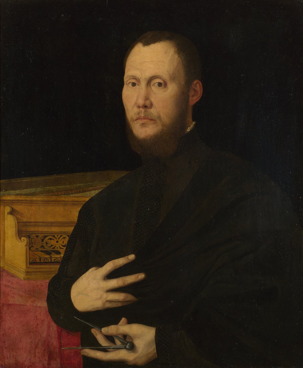 Bir Müzisyen Portresi, c. 1565 by Bernardino Campi
