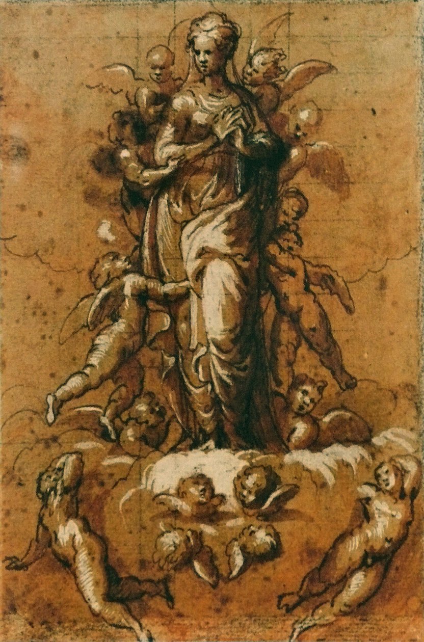  by Bernardino Campi