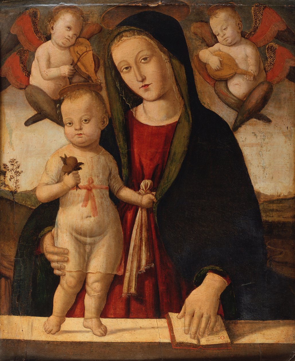 Madonna ve Çocuk (tuval üzerine yağlı boya) by Bernardino Fungai