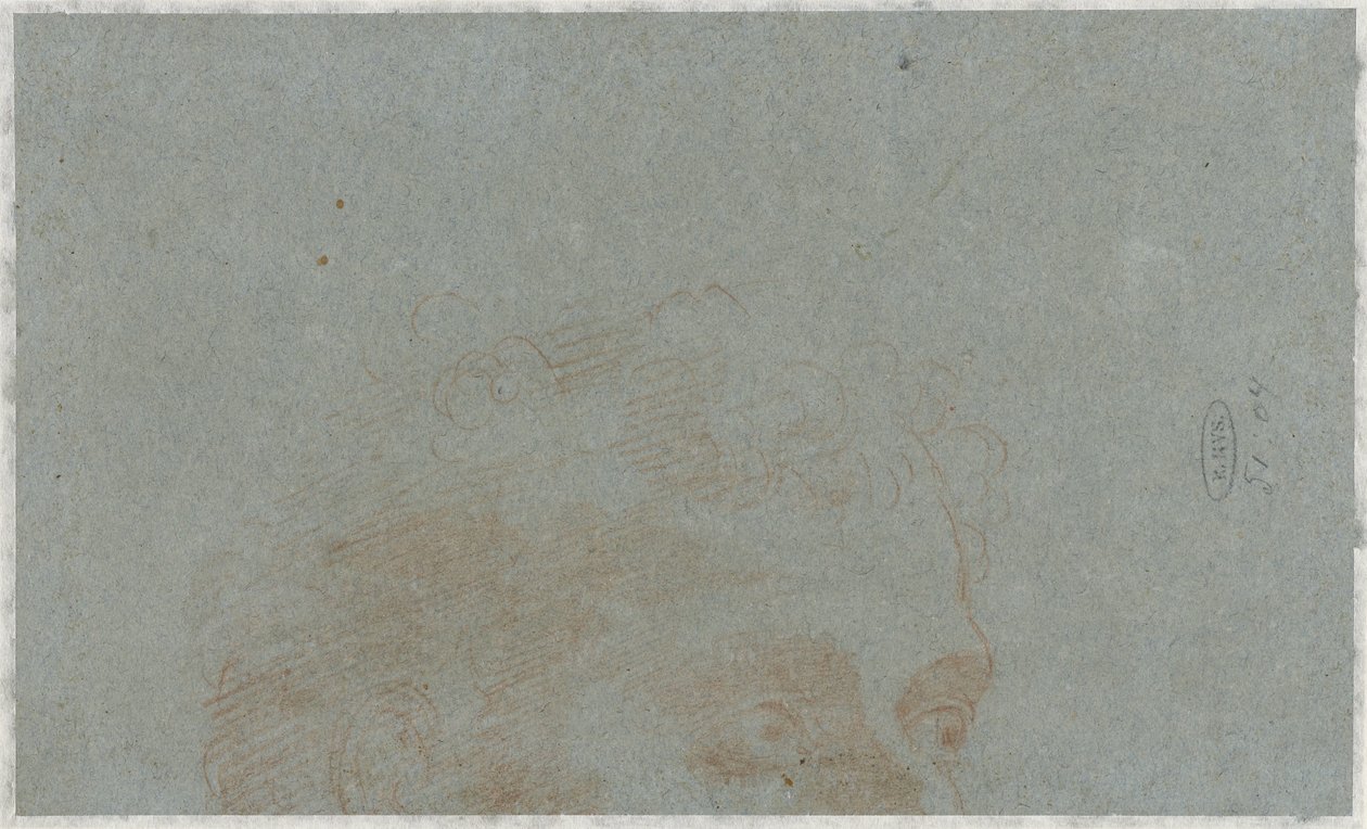 Bir adamın kafasının bir parçası by Bernardino Lanino (possibly)