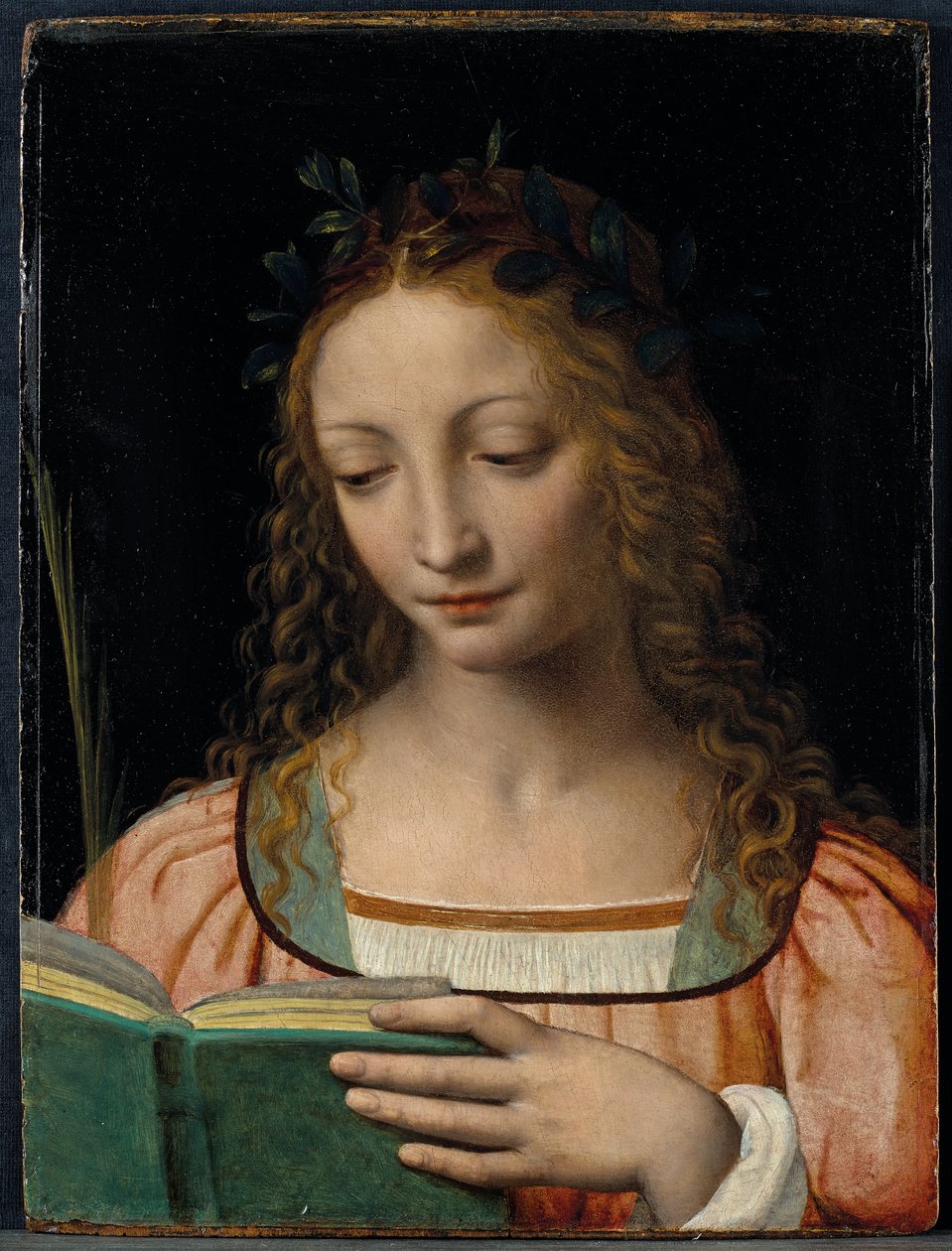 Bir avuç içi ile ve kutsal yazıları okuyan azizin göğüs uzunluğu figürü by Bernardino Luini