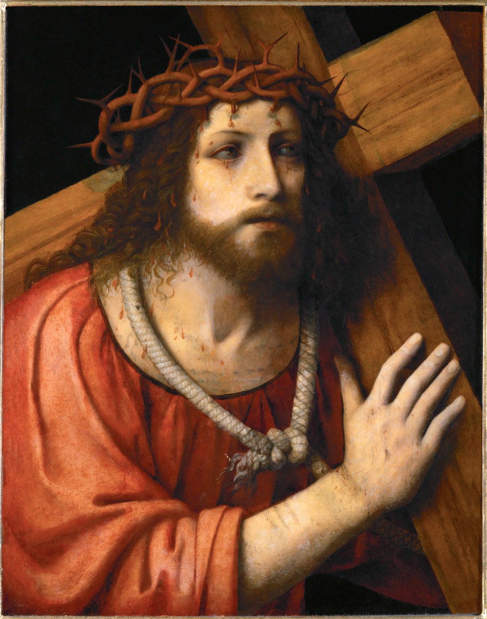  by Bernardino Luini