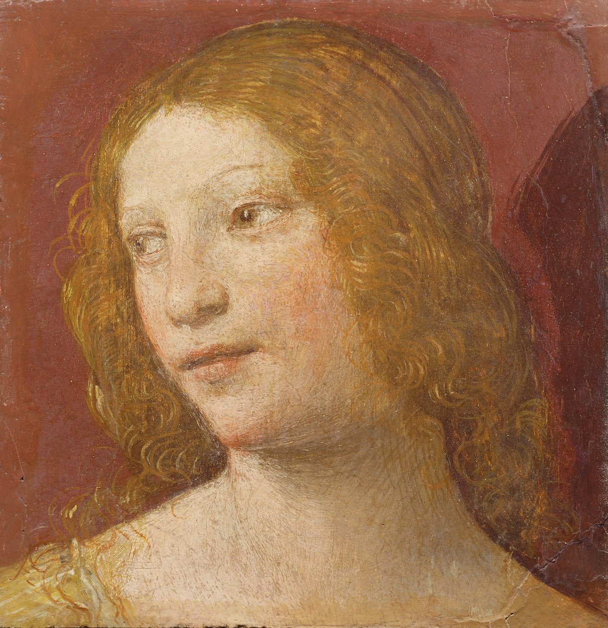 Genç Bir Kadının Başı by Bernardino Luini