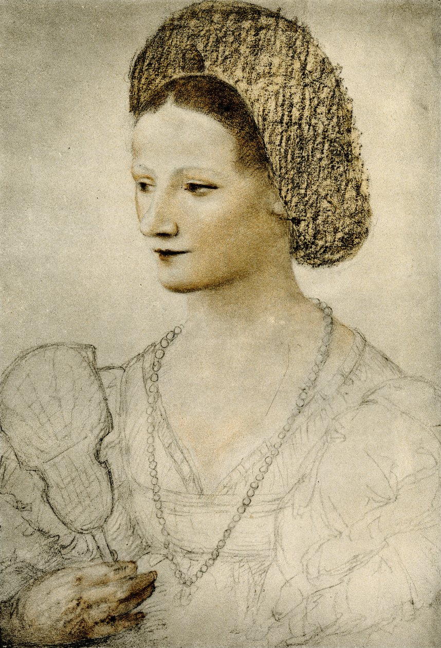 Bir hayranı olan bilinmeyen bir kadının portresi by Bernardino Luini