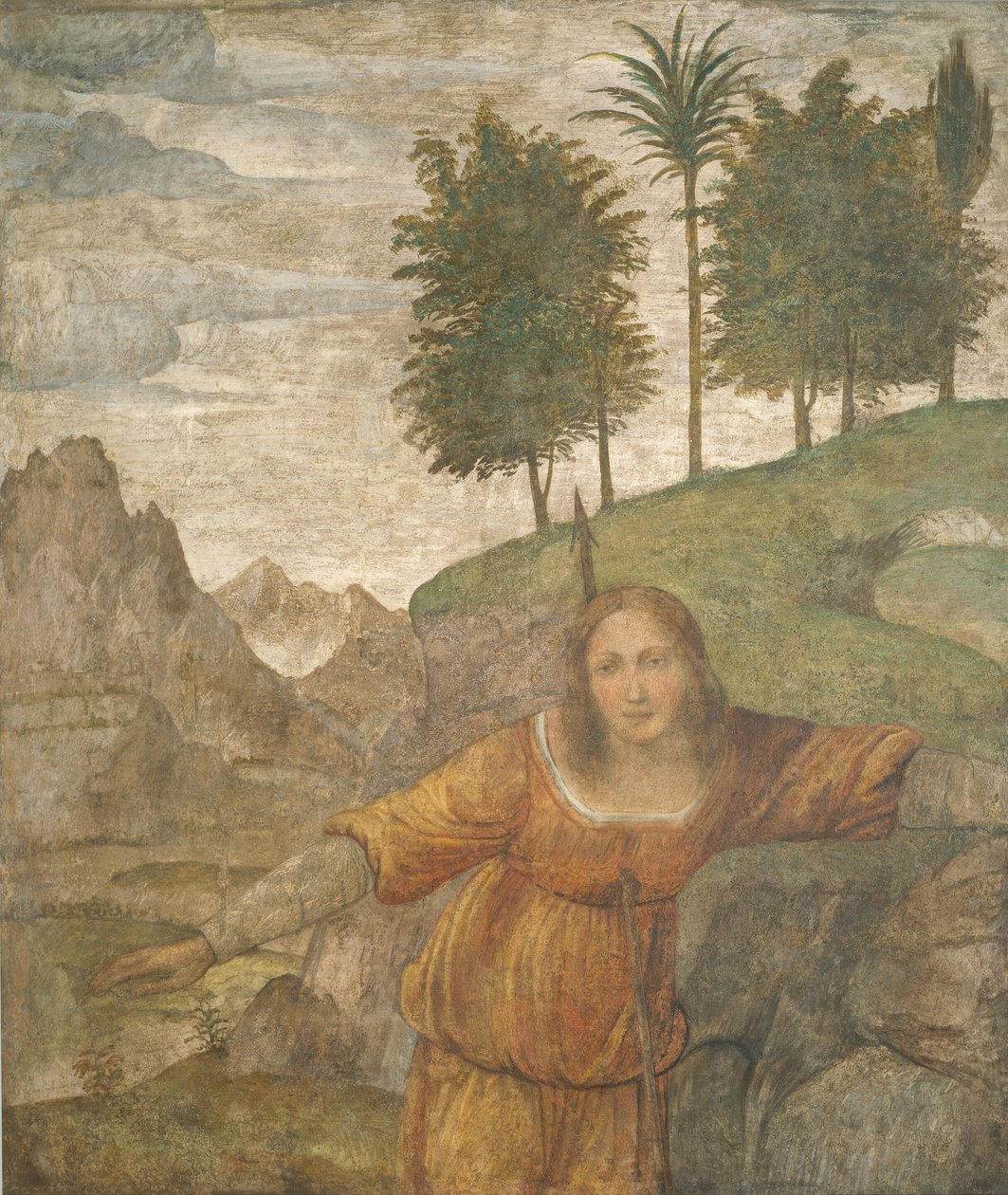 Procris, Cephalus