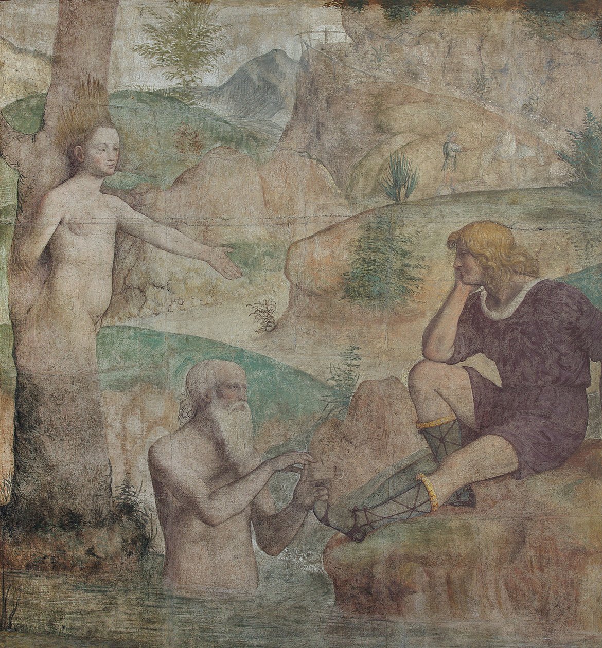 Driope ve Tavaiano tarafından şiddetli teselli, 1513-1514. by Bernardino Luini