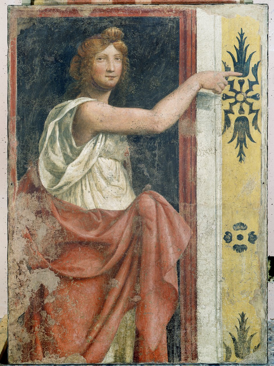 Sibil by Bernardino Luini