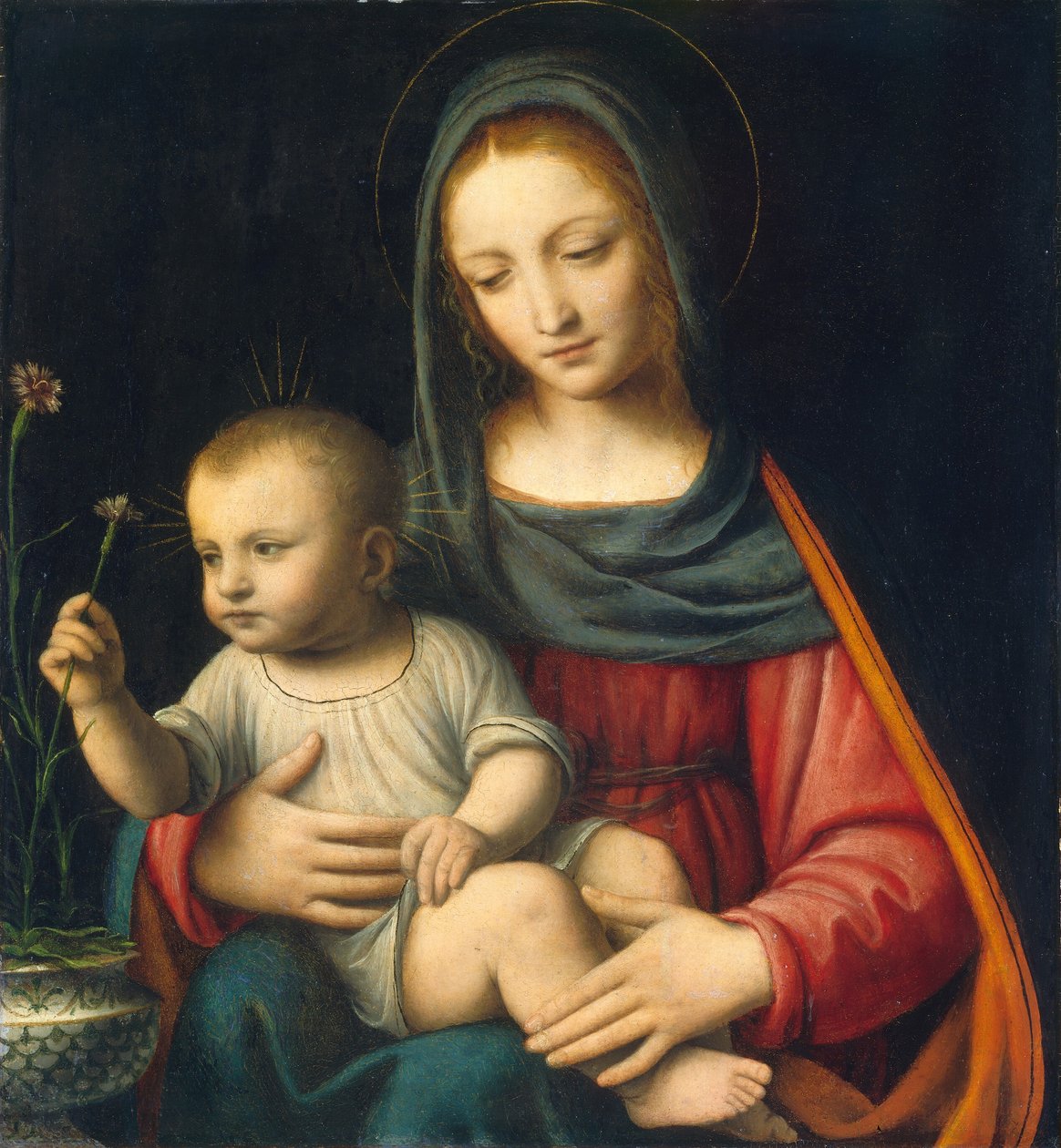 Karanfil Madonna by Bernardino Luini