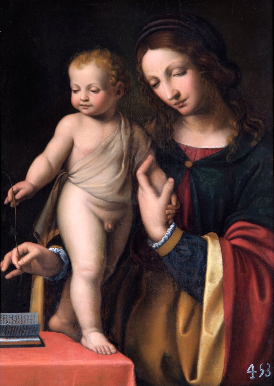 Ayakta Duran Çocuklu Bakire (kavak panel üzerine yağlıboya) by Bernardino Luini