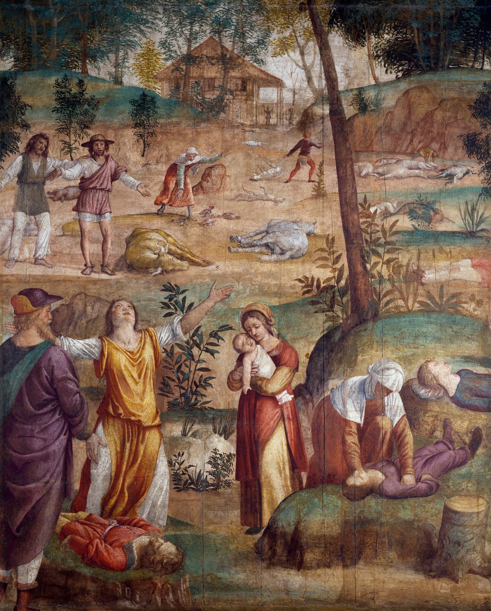 İlk çocuğun ölümü, Bernardino Luini (yaklaşık 1480-ca 1532), ahşap üzerine aktarılmış fresk, 211x169 cm. by Bernardino Luini