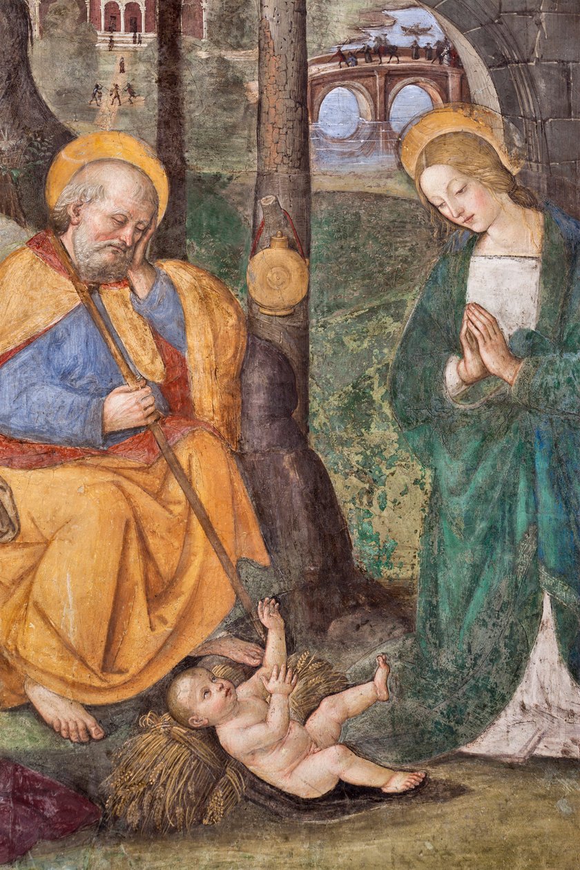 Çobanların Hayranlığı (Çobanların Hayranlığı) Detay Fresk, Pinturicchio (Bernardino di Betto) (1454-1513) 1484-1492 (Santa Maria del Popolo Kilisesi), Santa Maria del Popolo Bazilikası, Cappella Basso della Rovere Roma İtalya by Bernardino di Betto Pinturicchio