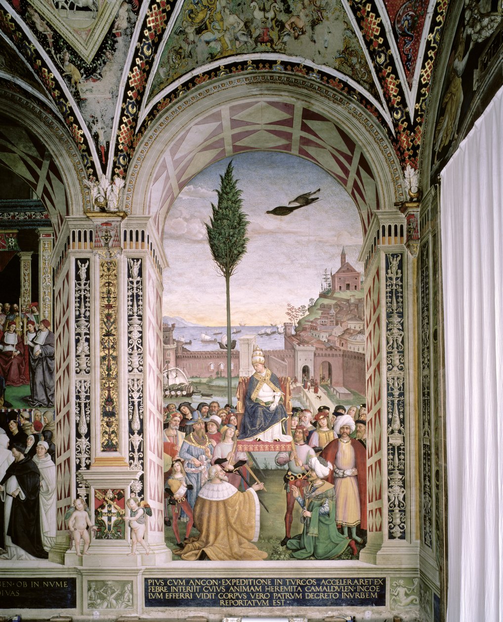 Papa II. Pius (1405-64), Ancona