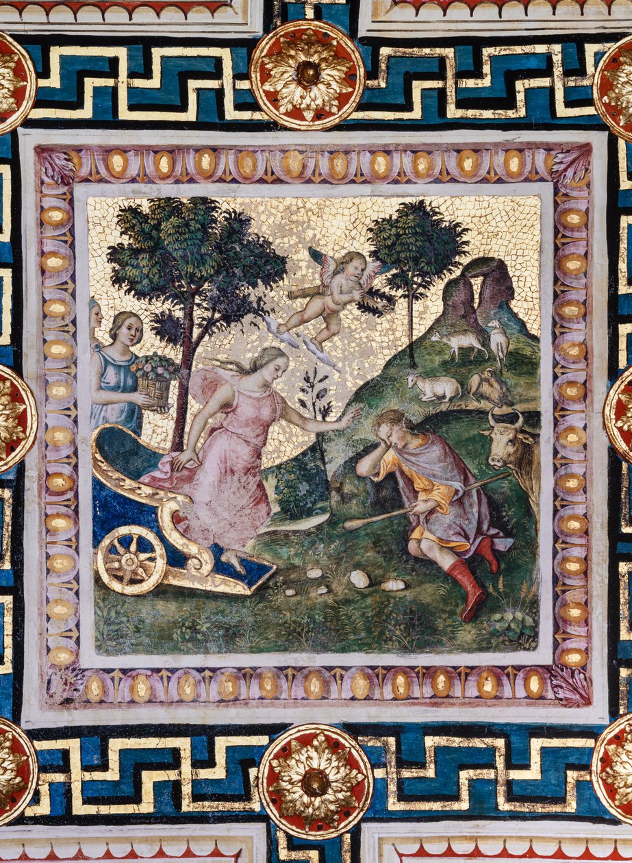 Piccolomini Kütüphanesi, tavan: Pinturicchio olarak bilinen Bernardino di Betto