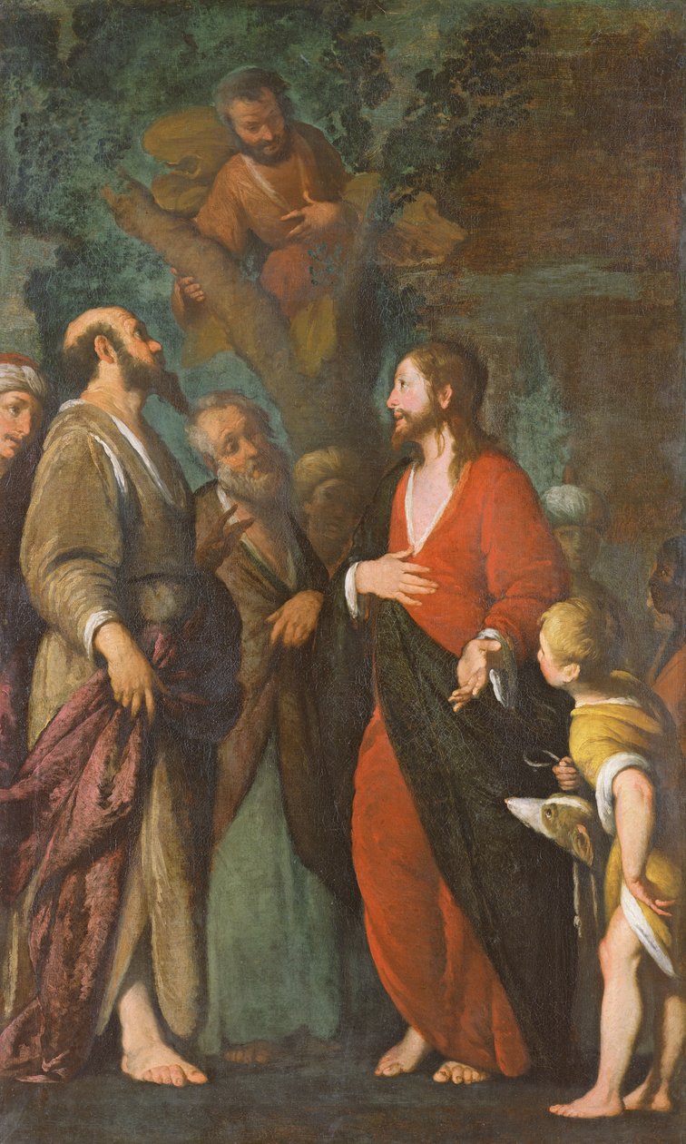 Zaccheus