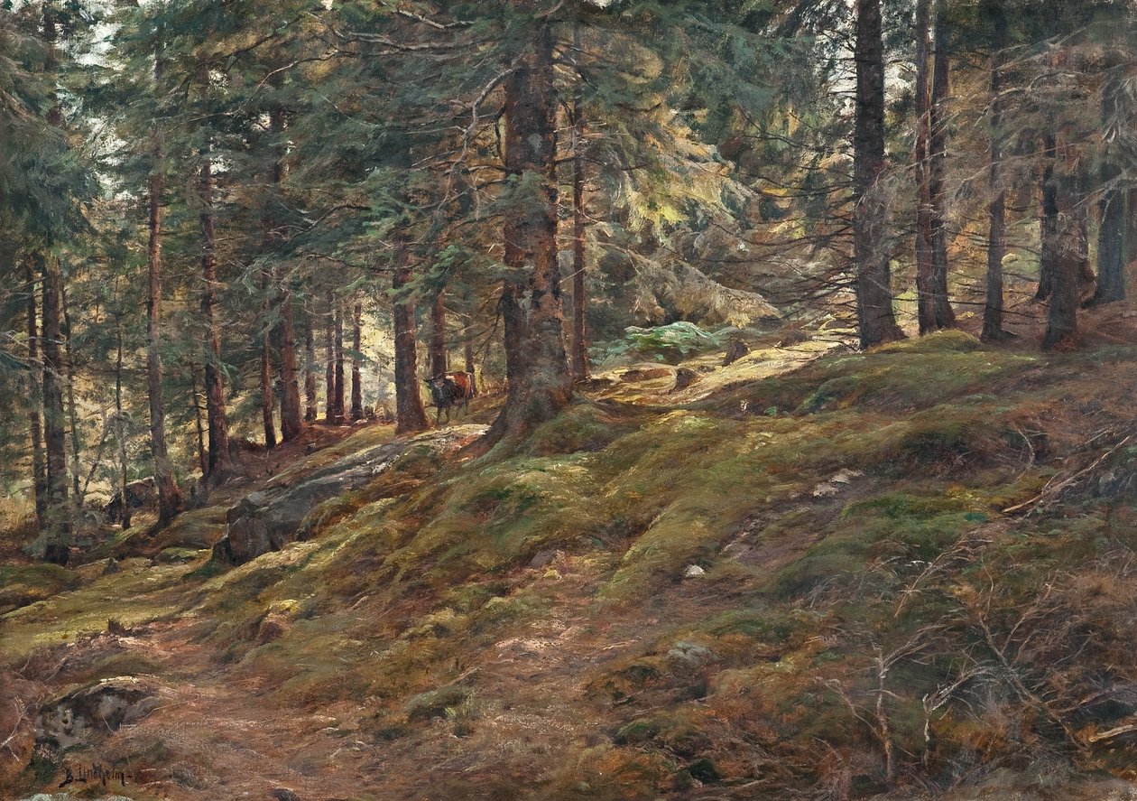  by Berndt Lindholm