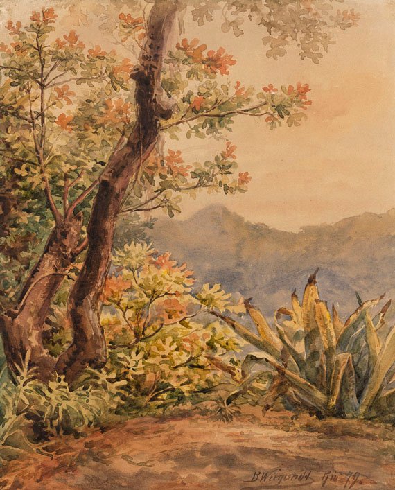 Agav ile Brezilya yatay by Bernhard Wiegandt