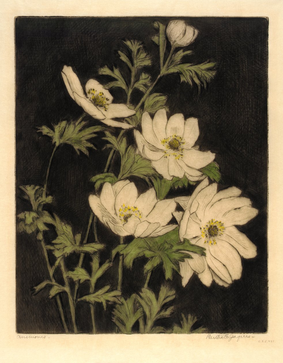  by Bertha E. Jaques