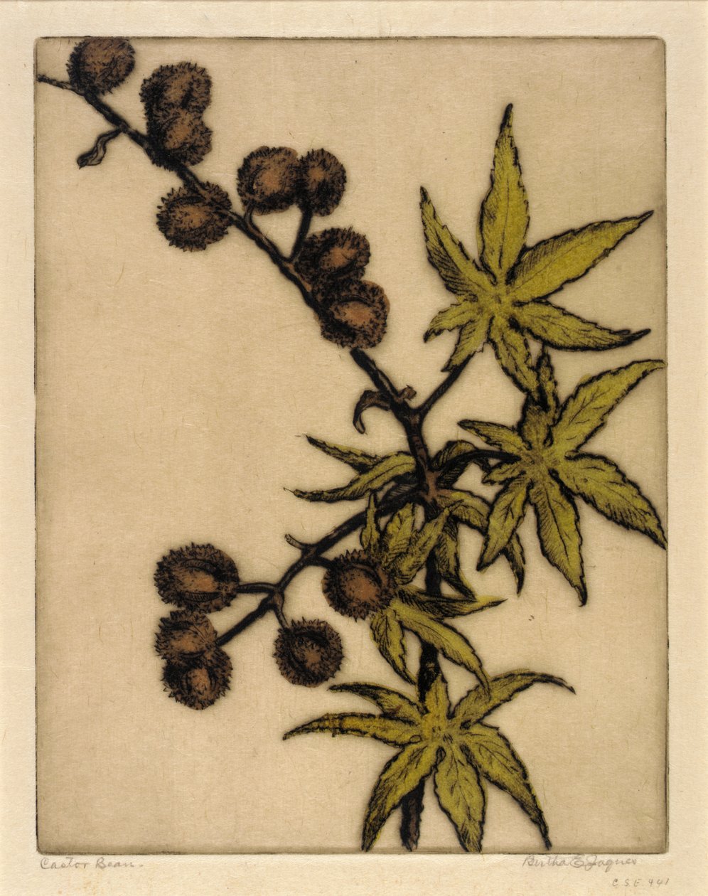  by Bertha E. Jaques