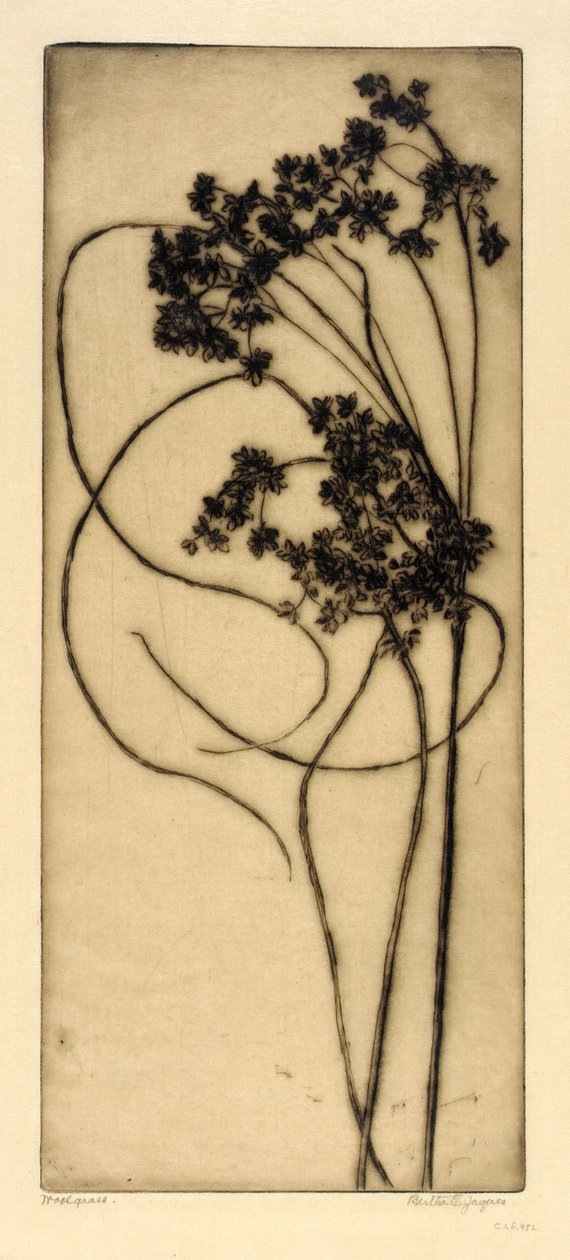  by Bertha E. Jaques