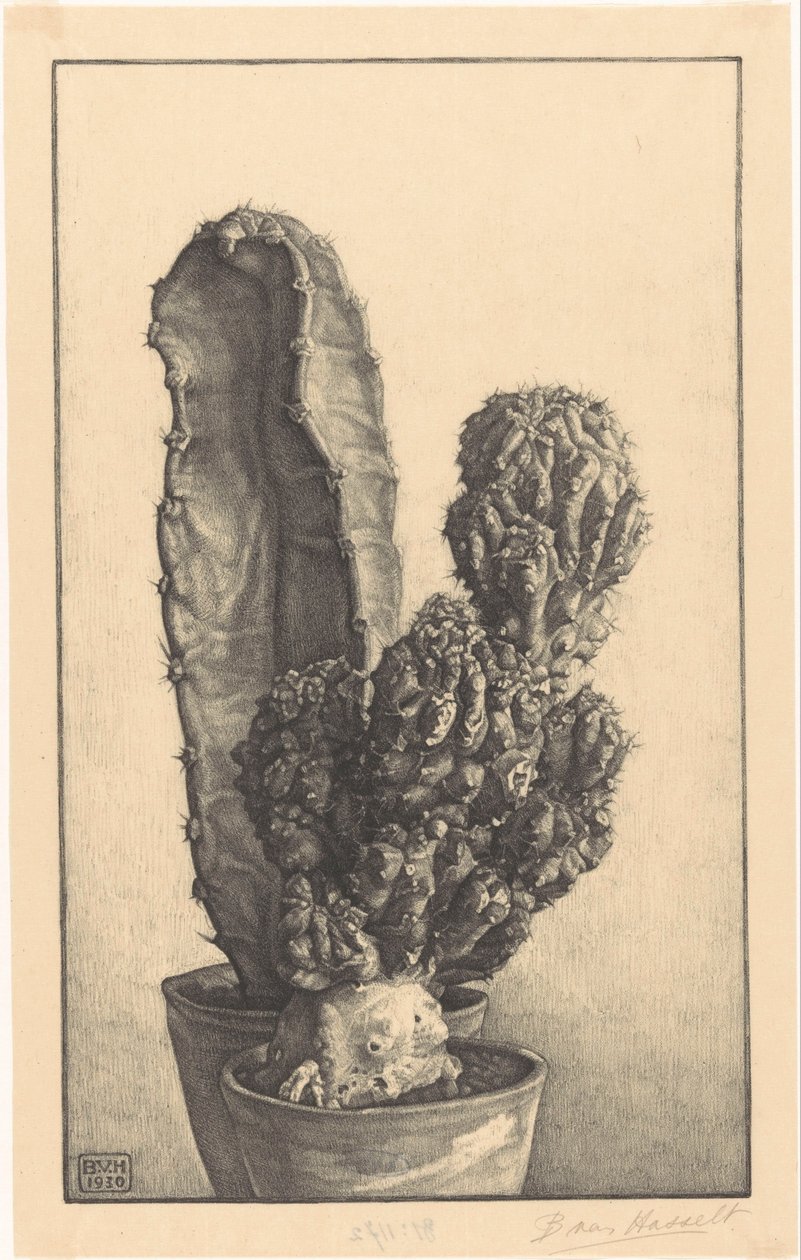 Caktussen (orijinal başlık) by Bertha van Hasselt (signed by artist)