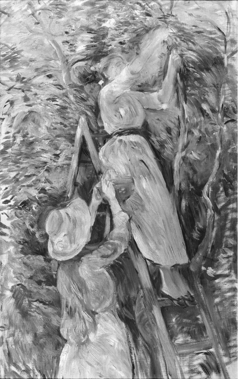 Kiraz toplama, 1891 (ayrıca bkz. 18907) by Berthe Morisot