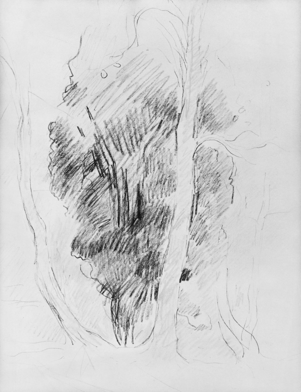 Ağaçların incelenmesi, 1893 by Berthe Morisot