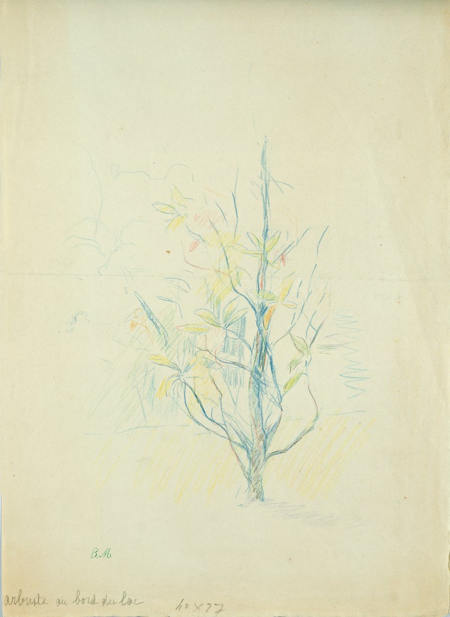 Göl kenarındaki çalılar, 1893 (kağıt üzerine renkli kalem) by Berthe Morisot